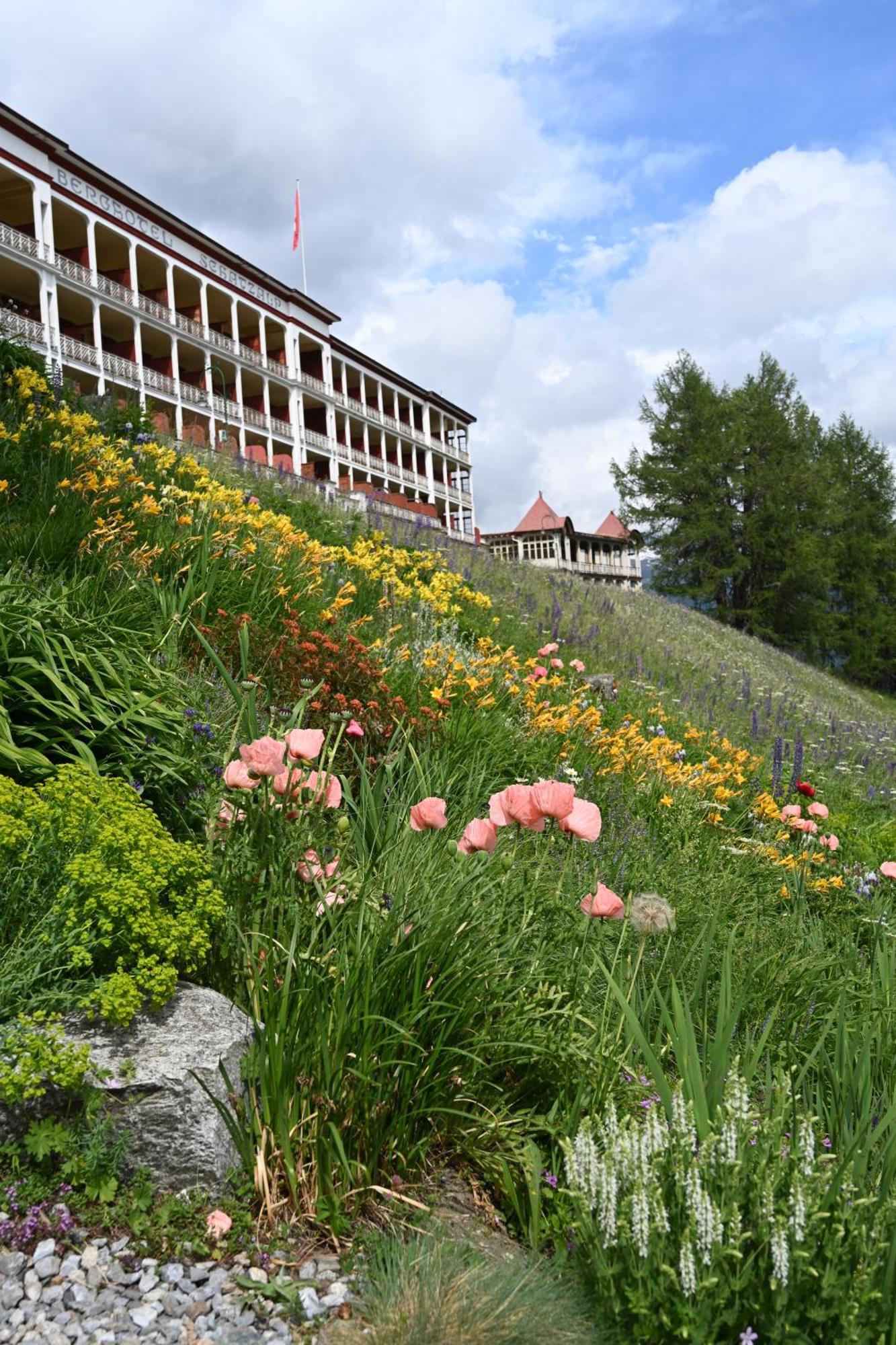 Schatzalp 3* Davos